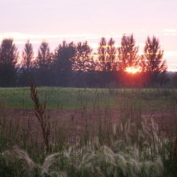 Coucher de soleil à partir de nos champs